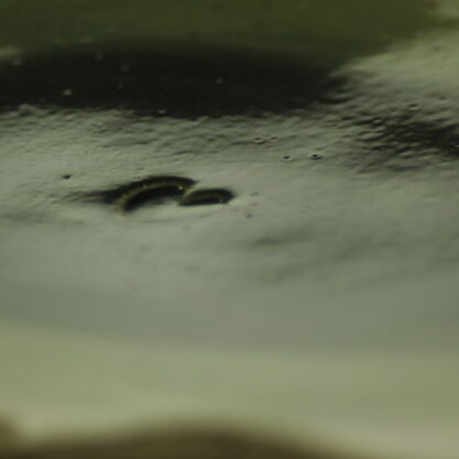IMG_8103 IMG_8103
